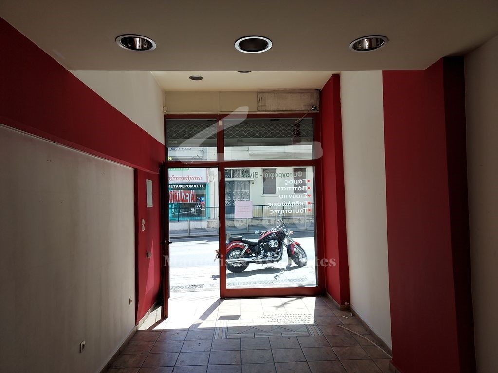 Gallery image 10