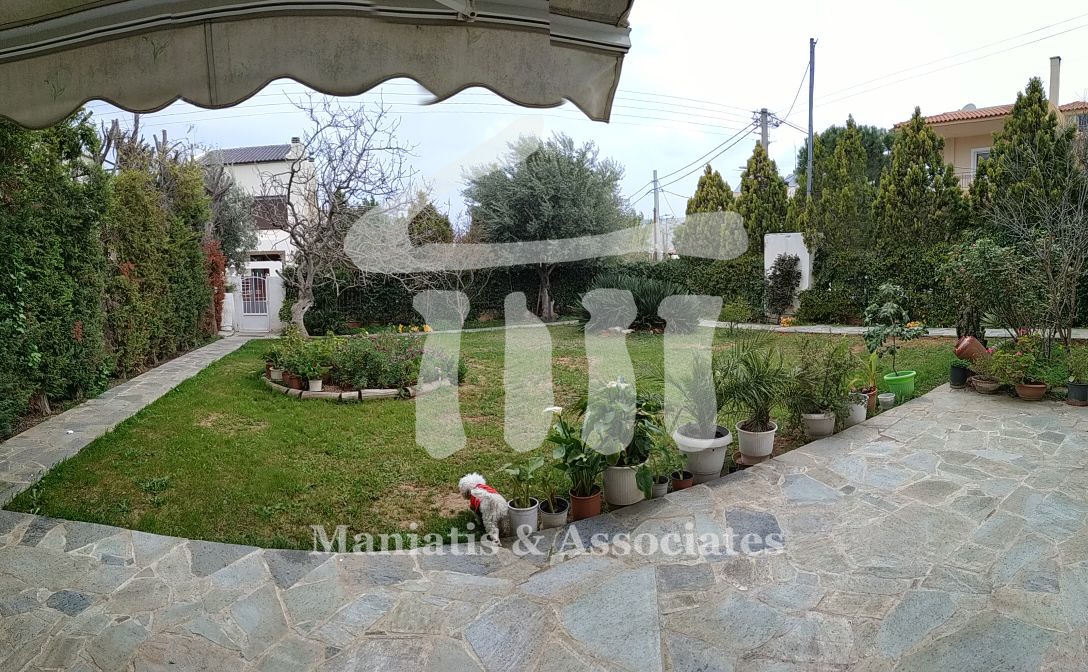 Gallery image 21