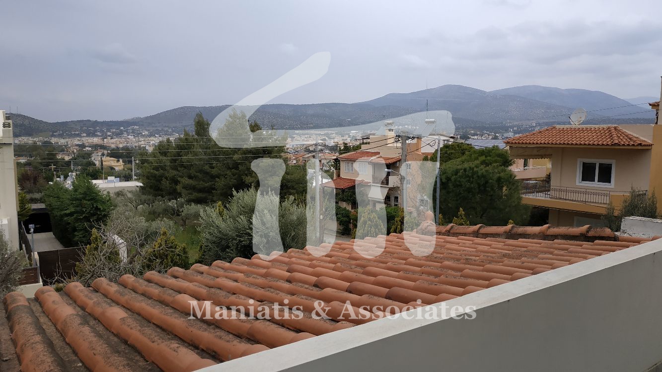 Gallery image 11