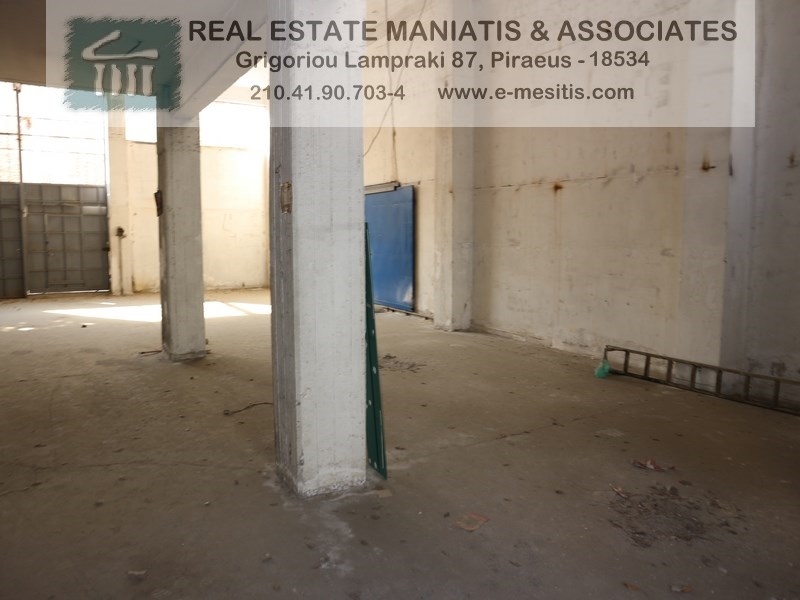 Gallery image 6
