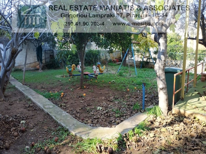 Gallery image 6