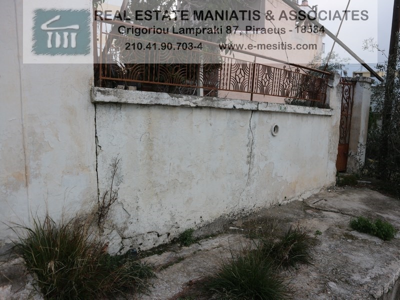 Gallery image 14