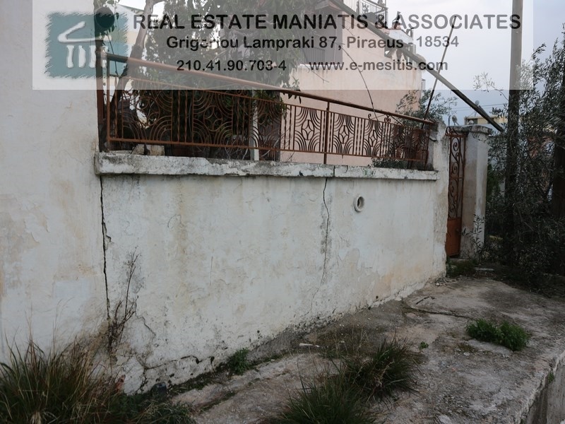 Gallery image 12