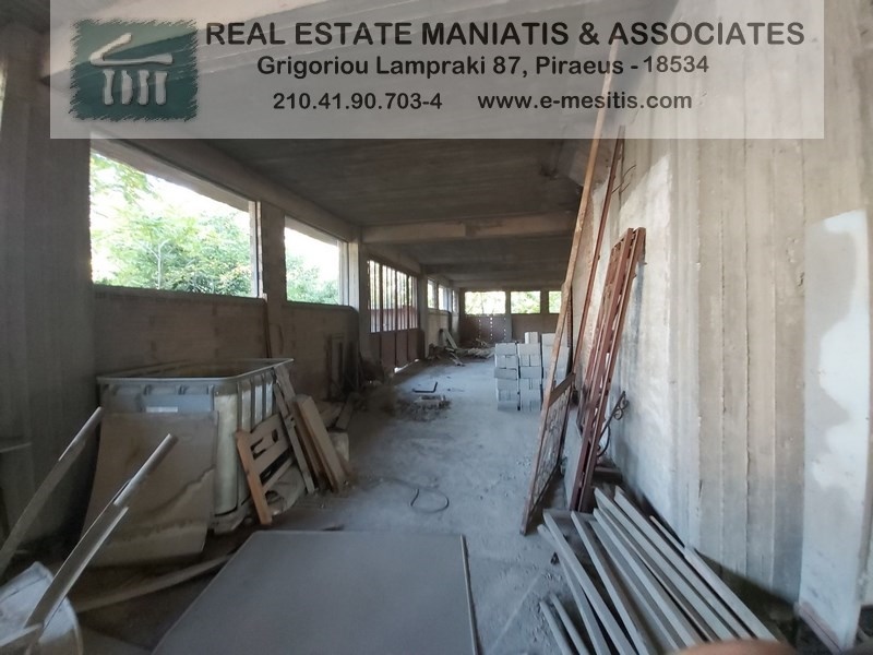 Gallery image 11