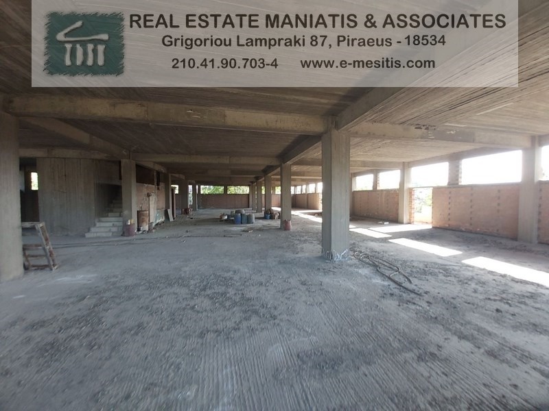 Gallery image 16