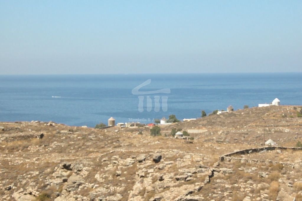 Gallery image 10