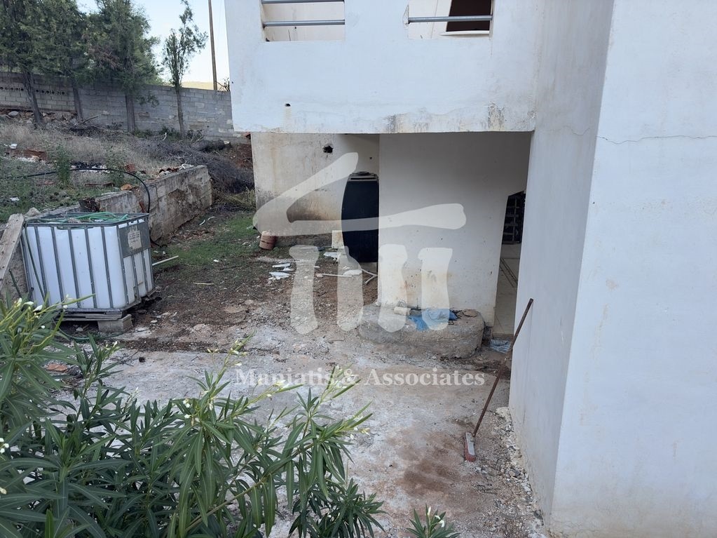Gallery image 17