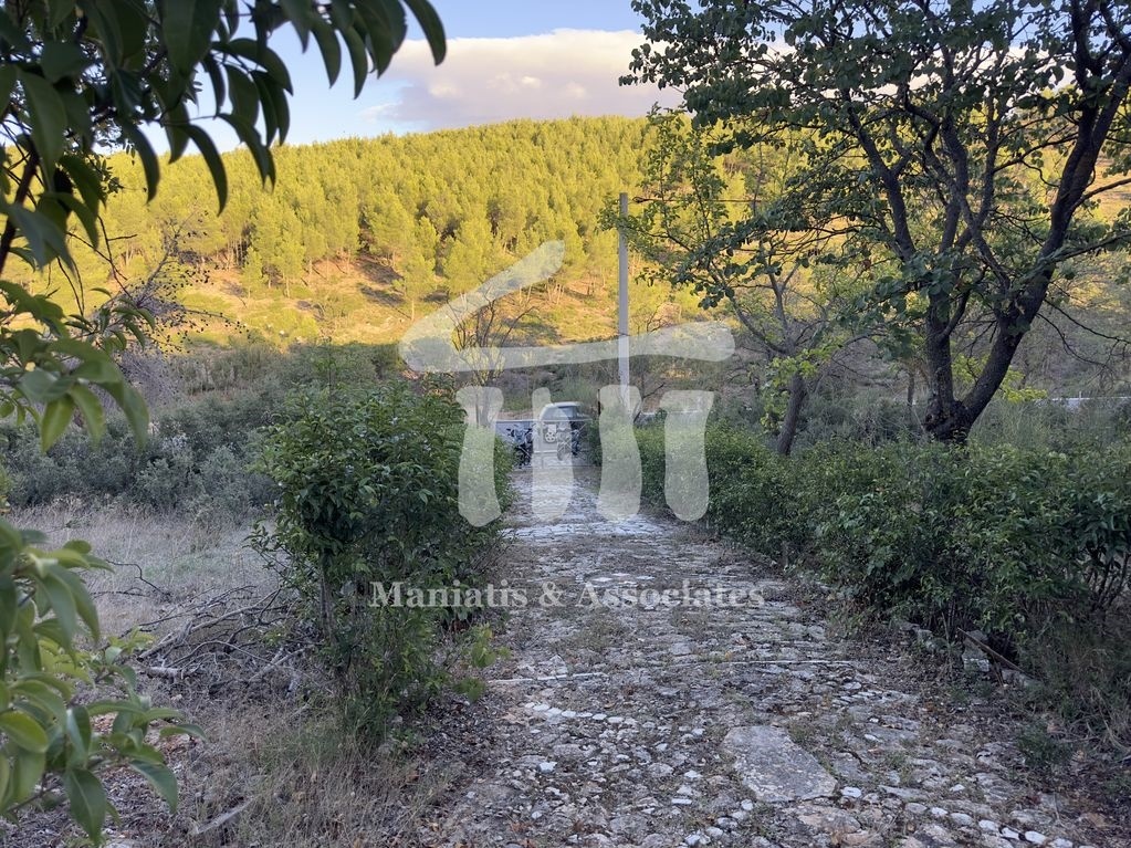 Gallery image 21