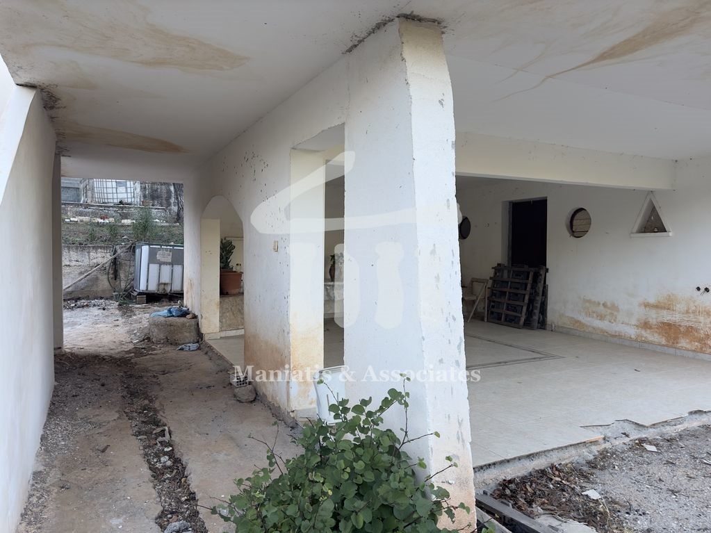 Gallery image 16