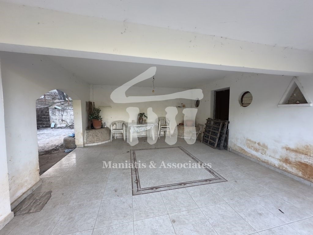 Gallery image 6