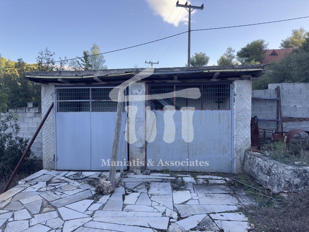 Gallery image 11