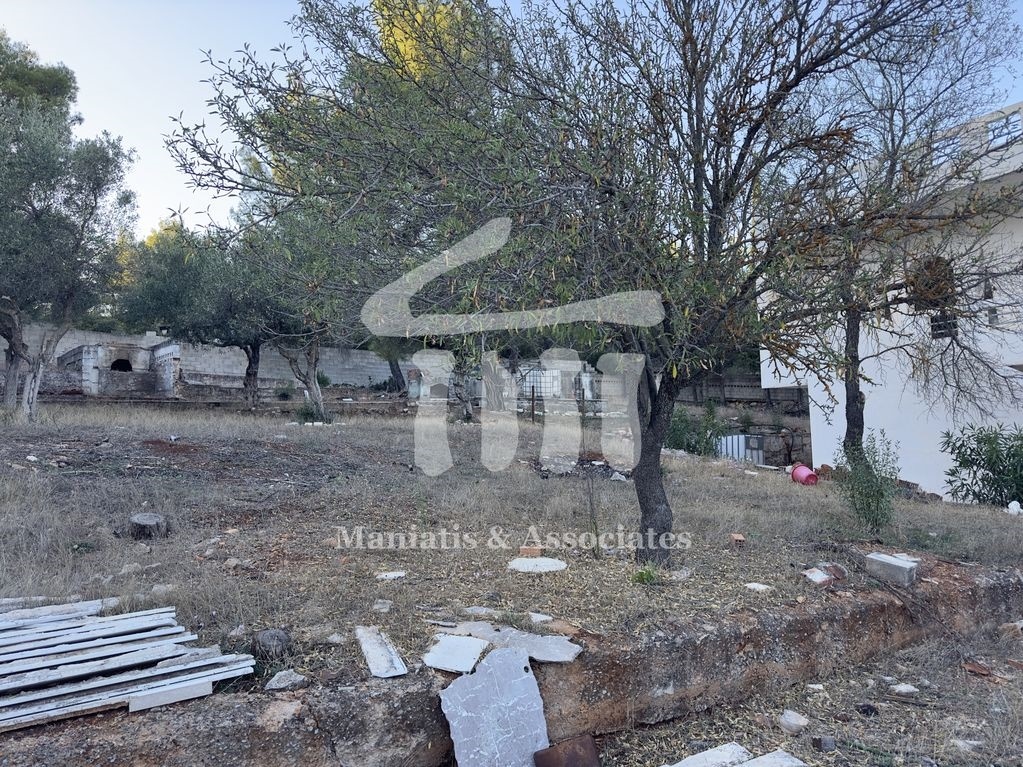 Gallery image 10
