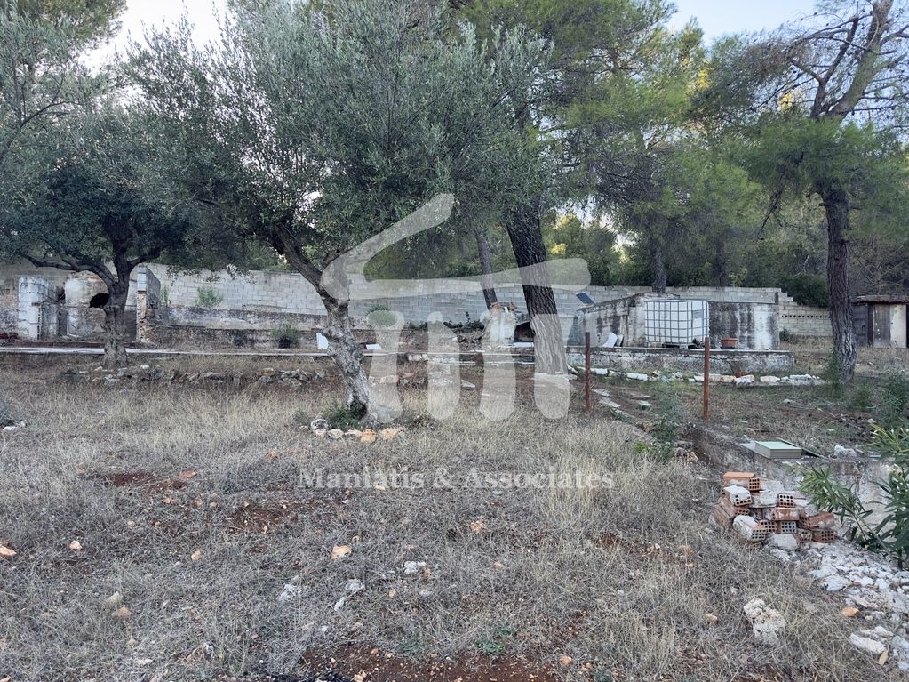 Gallery image 14