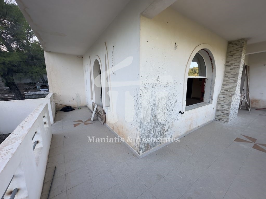 Gallery image 26