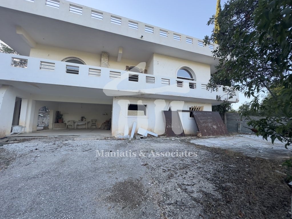 Gallery image 20