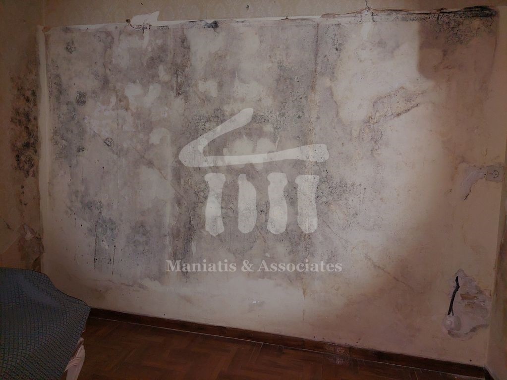 Gallery image 14
