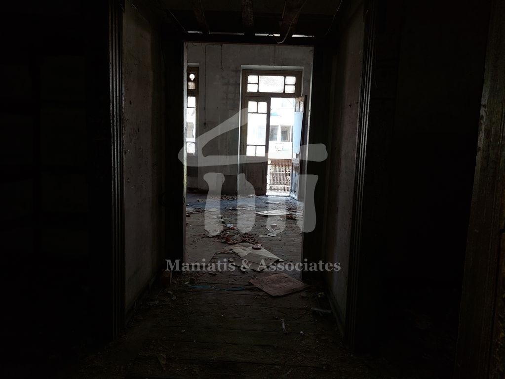 Gallery image 10