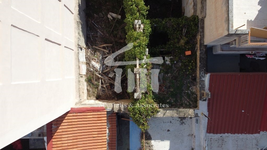 Gallery image 14