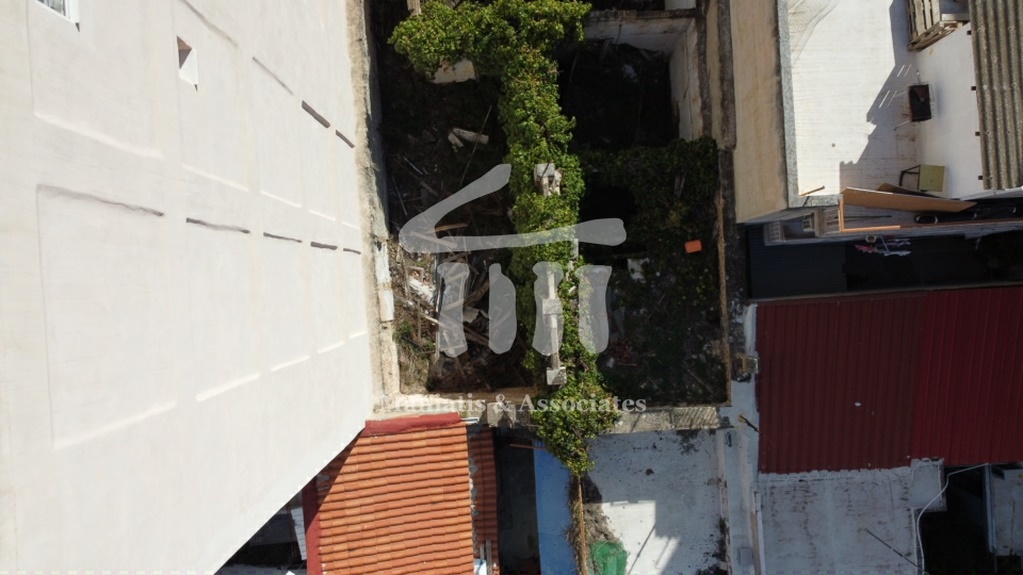 Gallery image 19