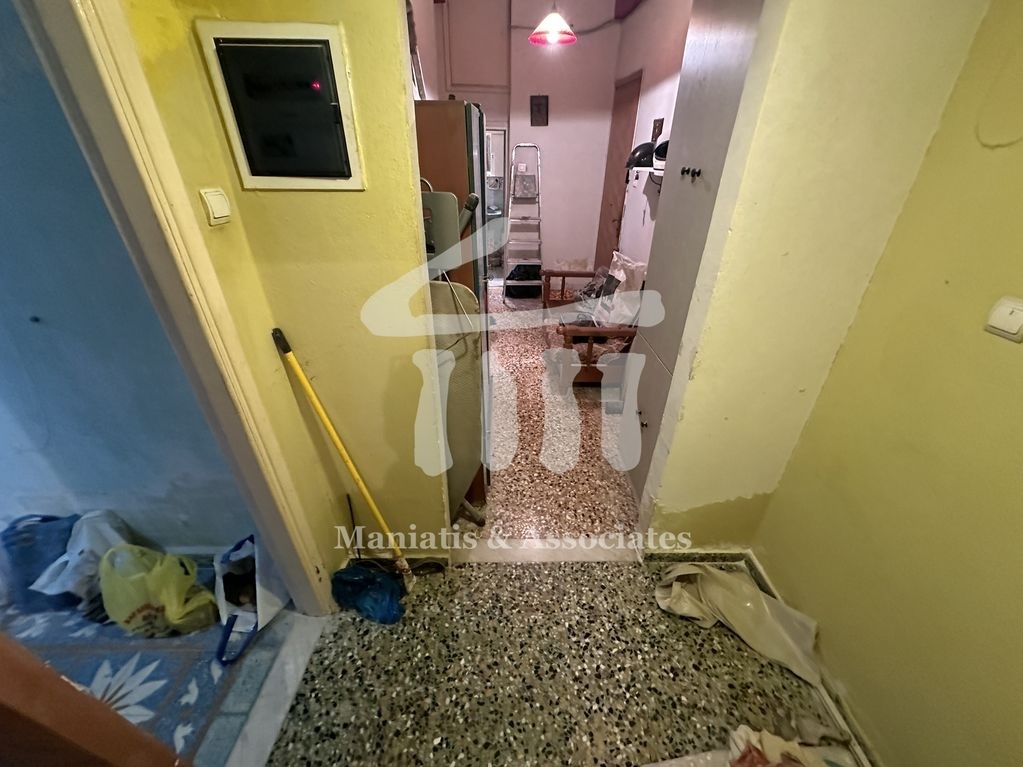 Gallery image 10
