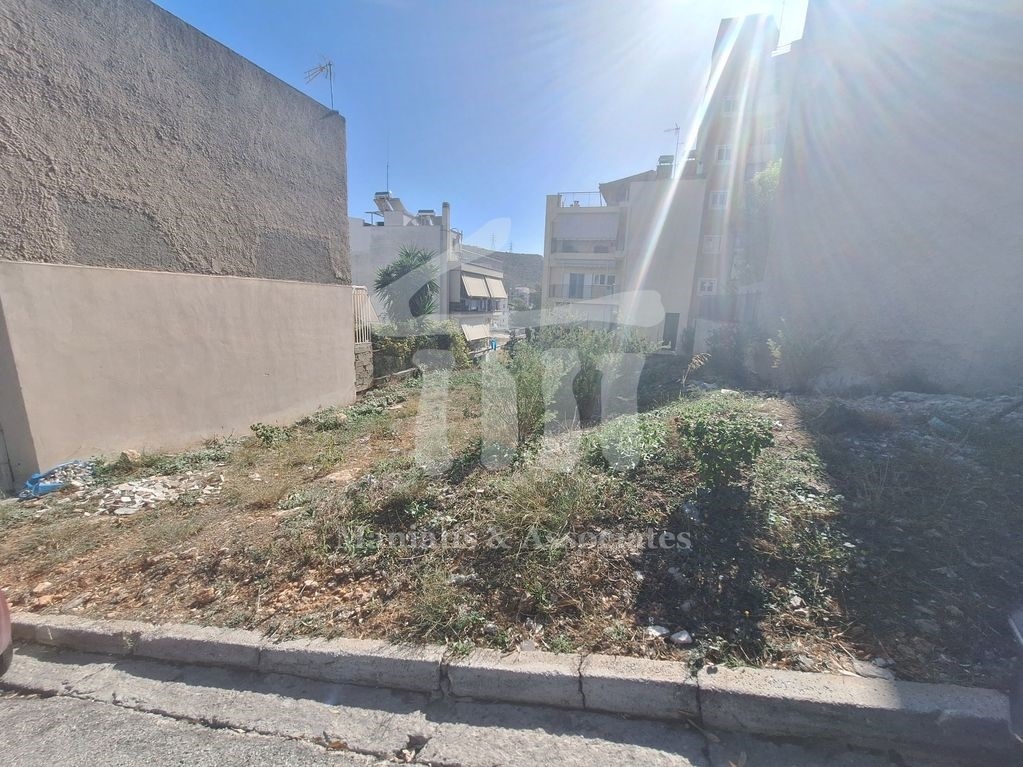 Gallery image 15