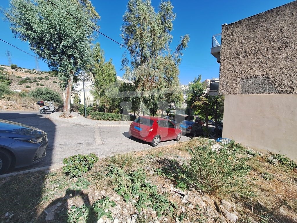 Gallery image 18