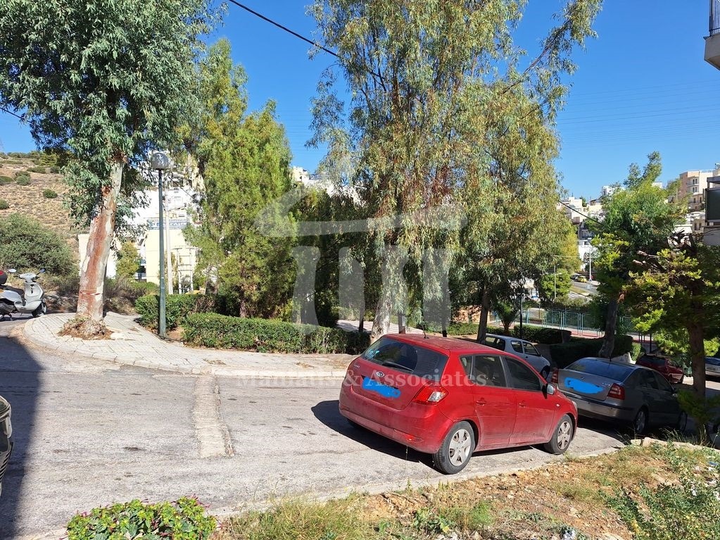 Gallery image 9