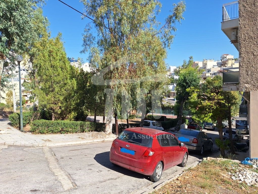 Gallery image 14