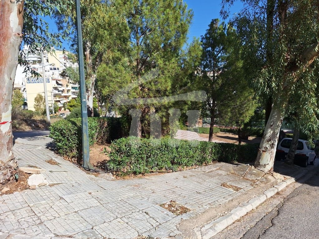 Gallery image 10