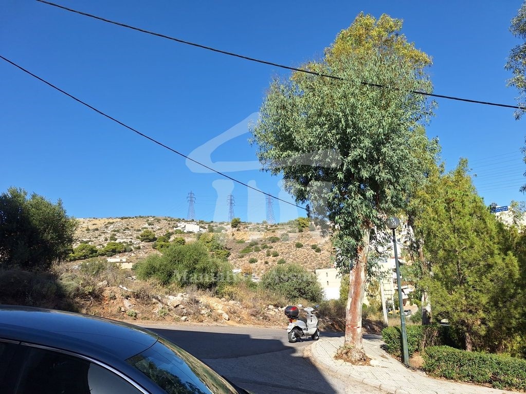 Gallery image 11