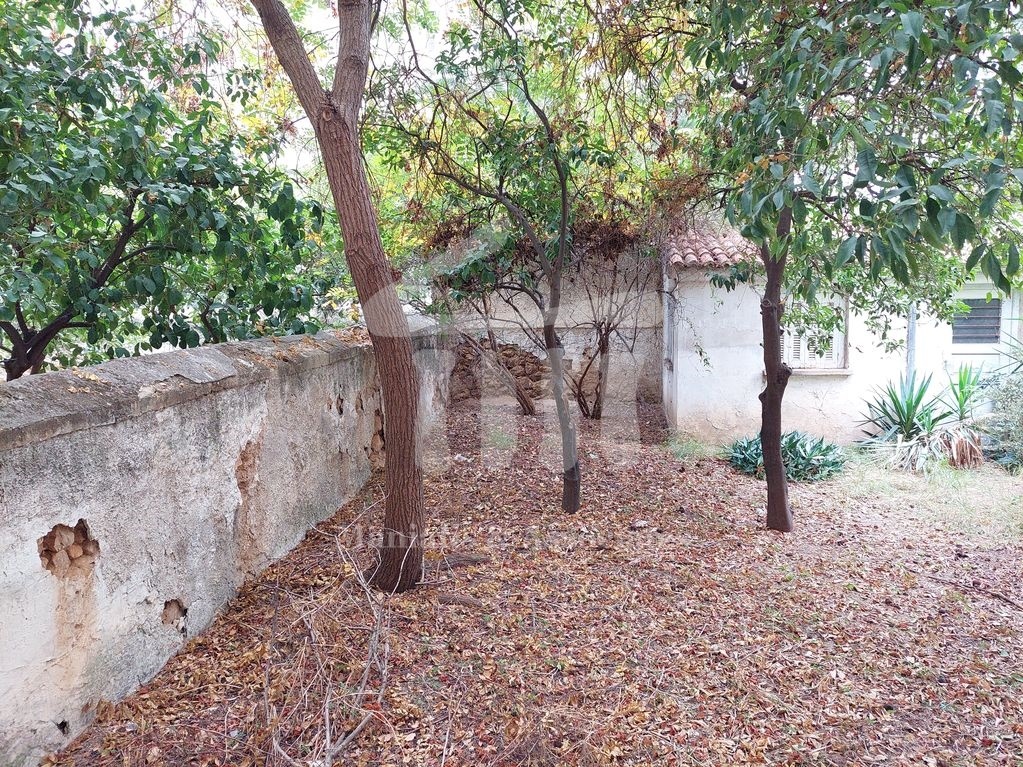 Gallery image 14
