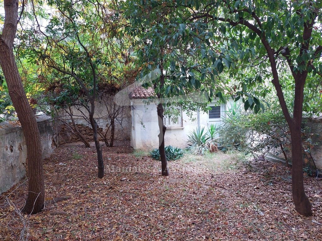 Gallery image 12