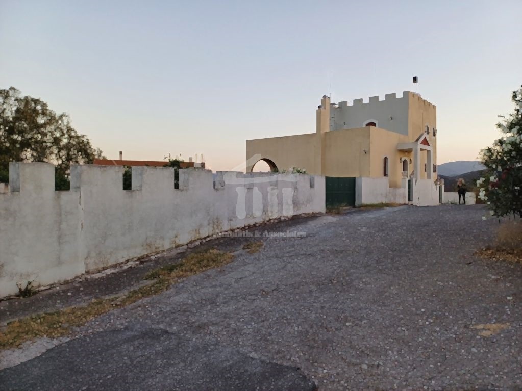 Gallery image 15