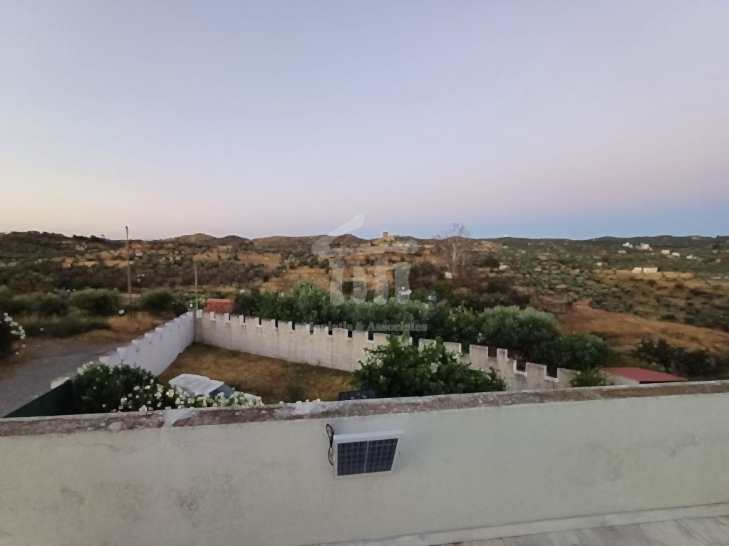Gallery image 21