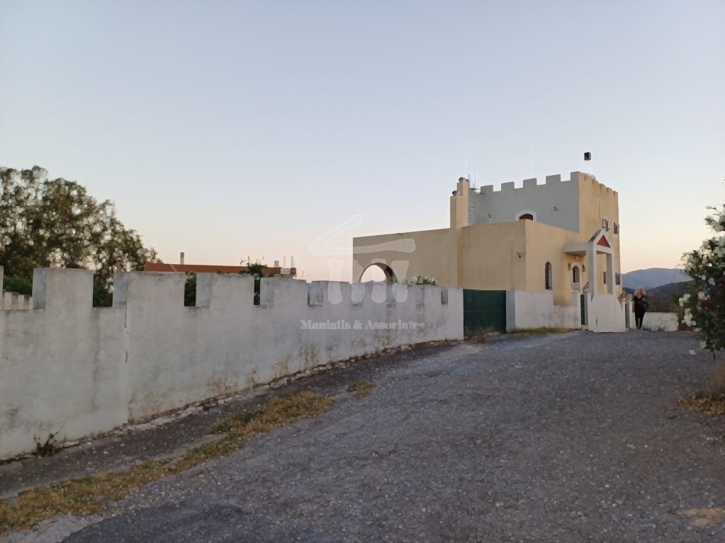 Gallery image 14
