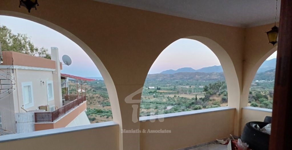 Gallery image 11
