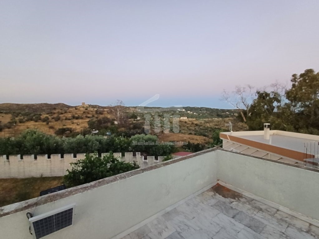 Gallery image 25