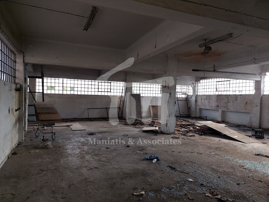 Gallery image 17