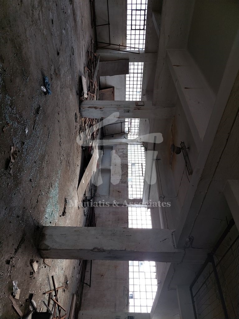 Gallery image 18