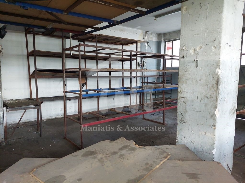 Gallery image 9