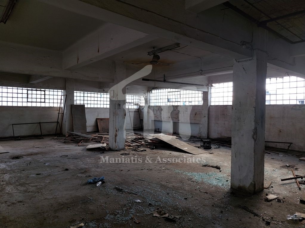 Gallery image 22