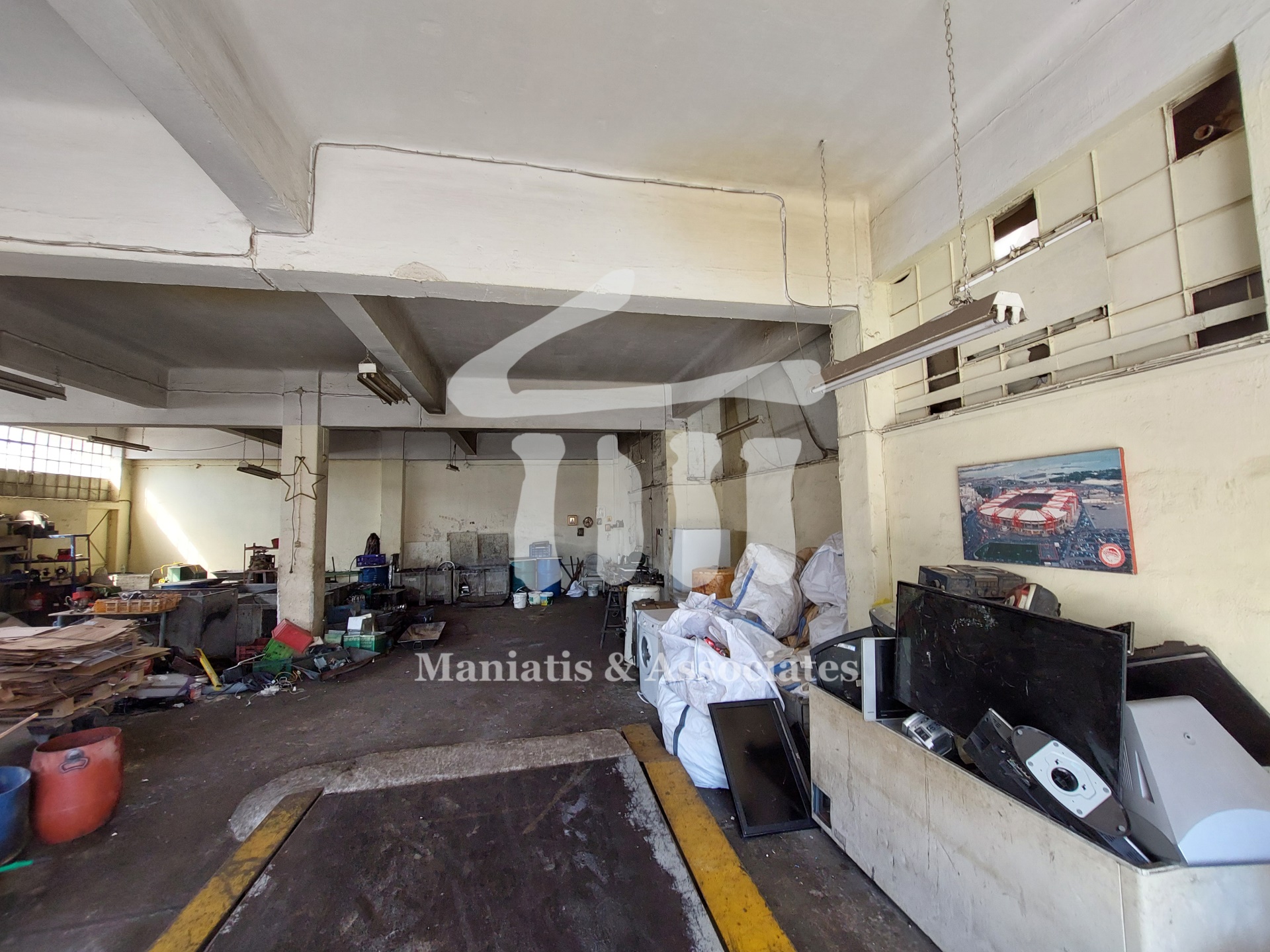 Gallery image 12