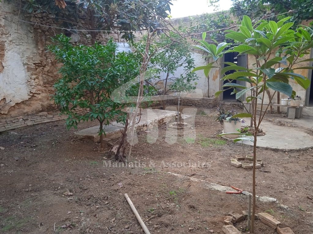 Gallery image 10