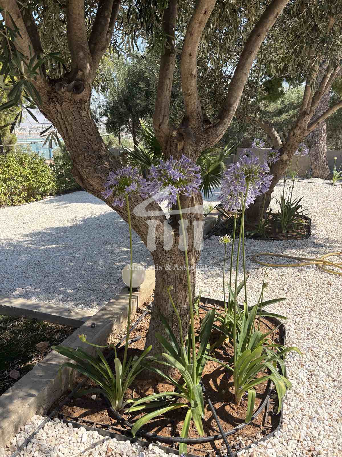 Gallery image 14