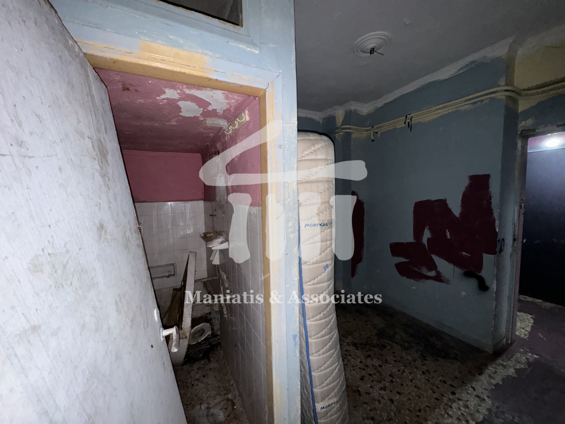 Gallery image 11