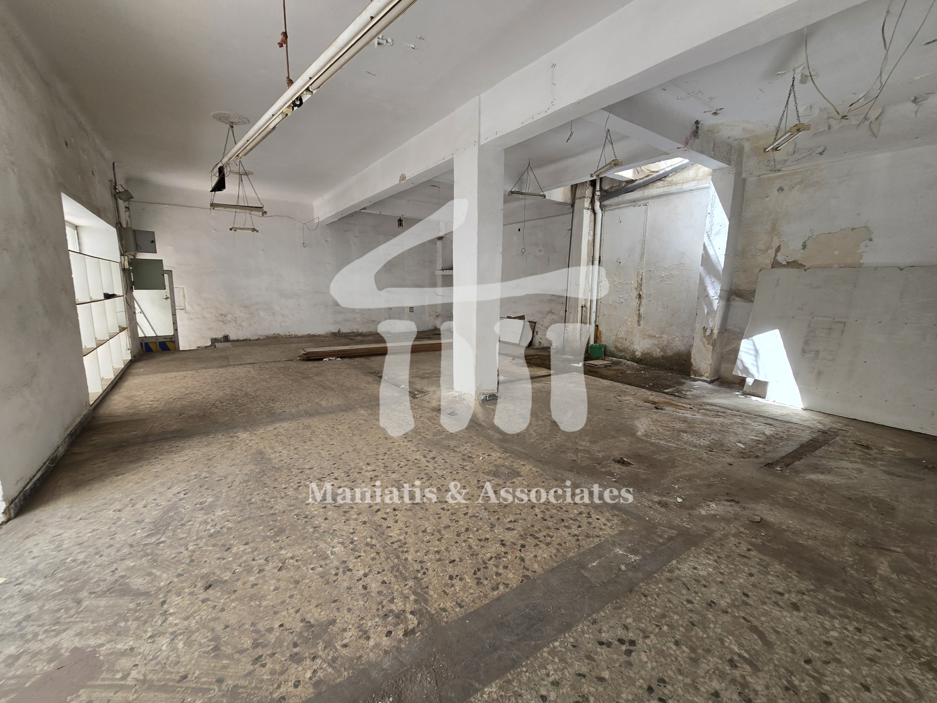 Gallery image 4