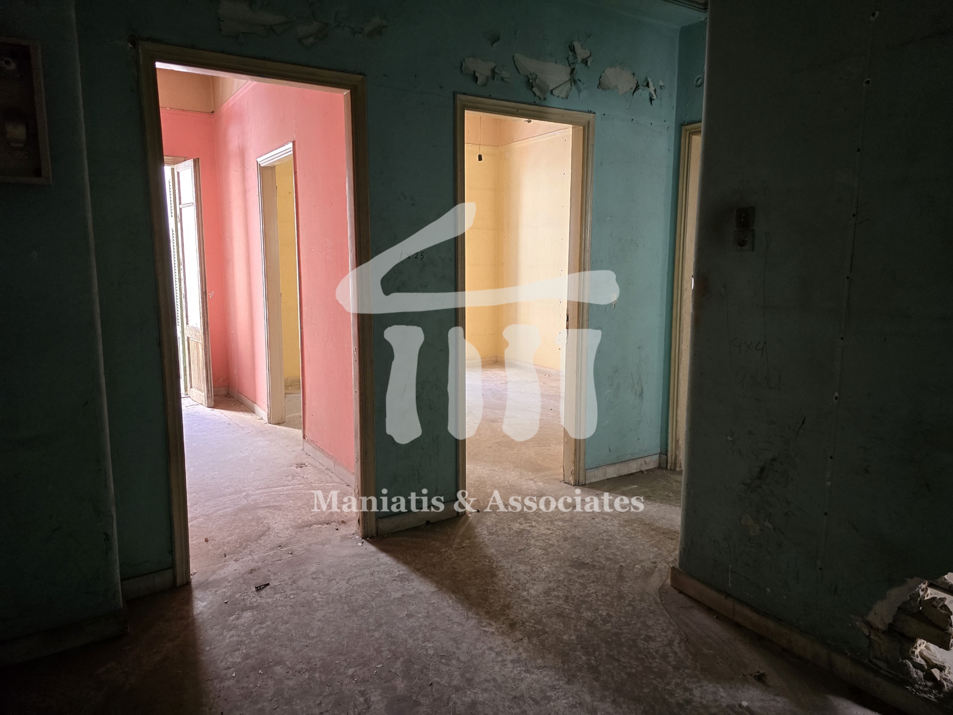 Gallery image 13