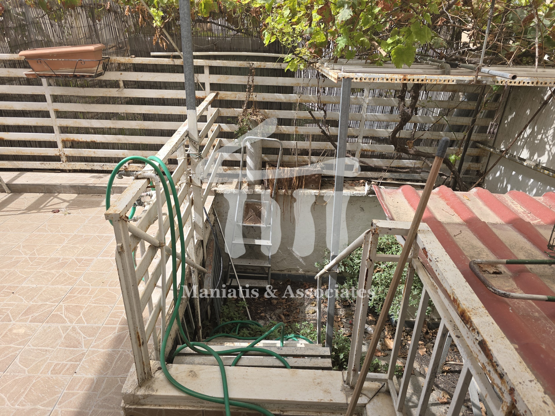 Gallery image 6