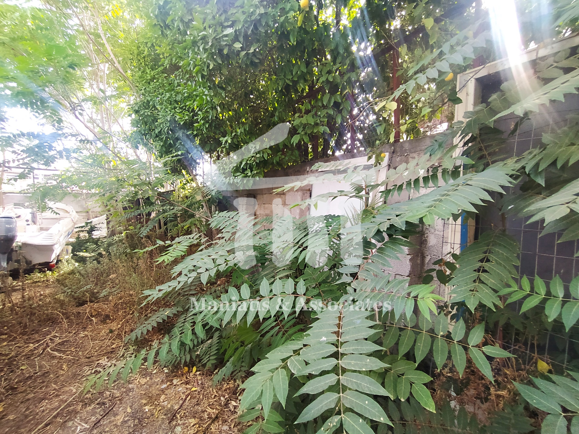 Gallery image 7