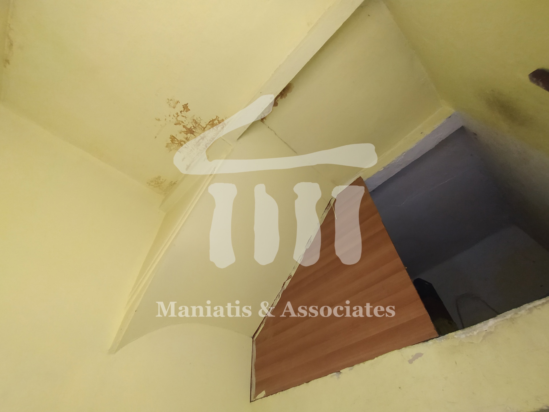 Gallery image 14